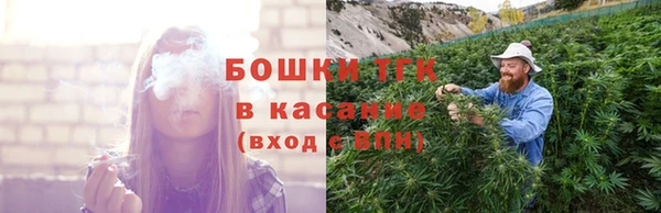 дурь Алексин