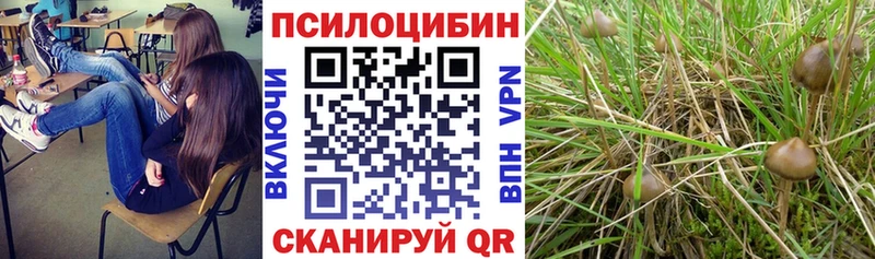 Галлюциногенные грибы GOLDEN TEACHER  сколько стоит  Солнечногорск 